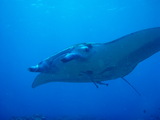 b9036b07.jpg