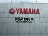 YSP1