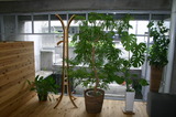 a2936eab.jpg
