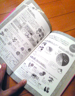 ハロー! 忍者の奥さん