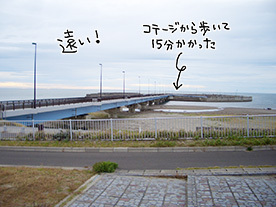 ハロー! 忍者の奥さん