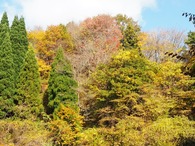 P1017832
