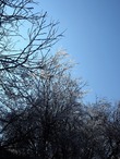 P1016267
