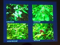 P1018204