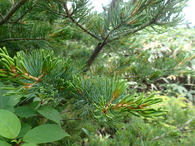 P7220130