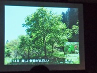 P1018184