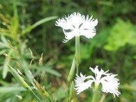 P1017200