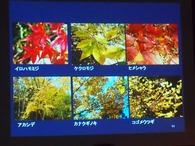 P1018205