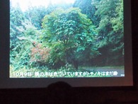 P1018187