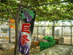 DSC03602