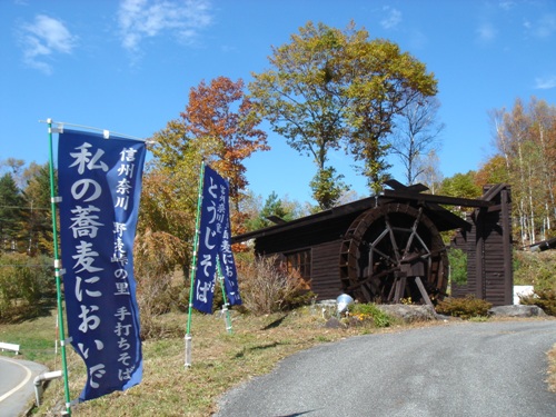 DSC03652