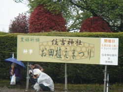 お田植えまつり