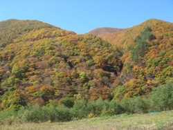 DSC03646