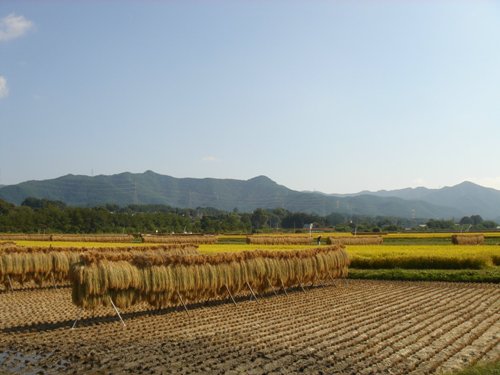 DSC03625