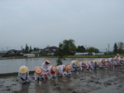 早乙女による田植え