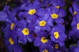 067a841b.jpg
