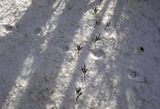 6c7ca05f.jpg