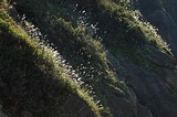 74336f11.jpg