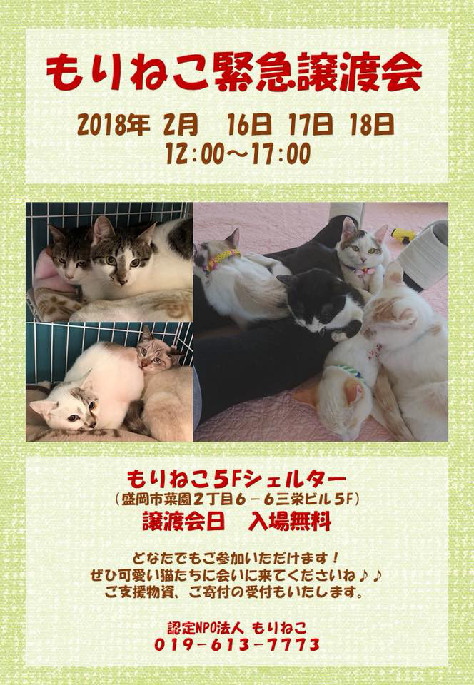 o0664096014130393377