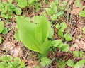 item-img03