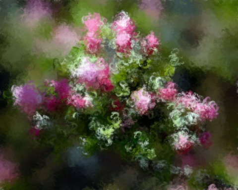 Painted Background 229