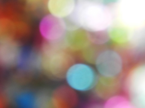 DSCN1977