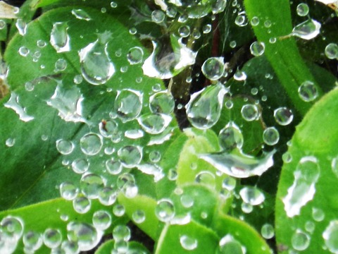 DSCN1098