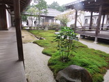 京都 南禅寺 平成23年11月5日 021