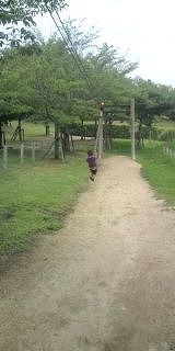 士道ターザン