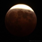 IMG_20141008_213307