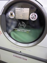 4cd5567e.jpg