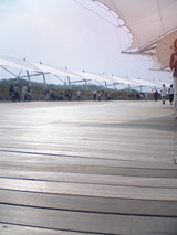 20050722143118.jpg