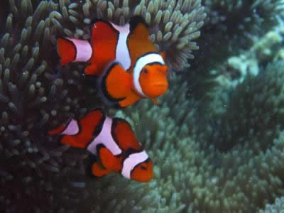P1000705.jpg