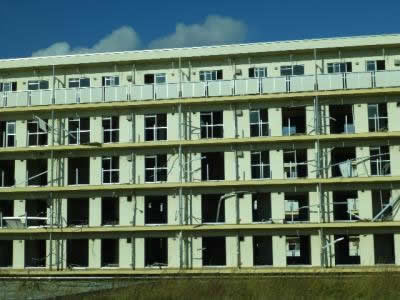 P1000208.jpg