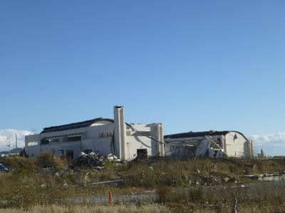 P1000207.jpg