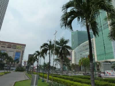 P1020277.jpg