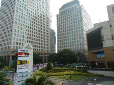 P1020264.jpg