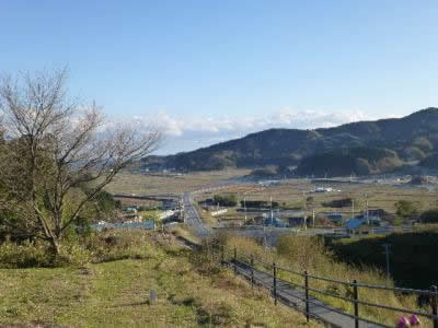 P1000214.jpg