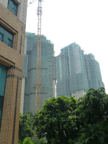 P1020286.jpg