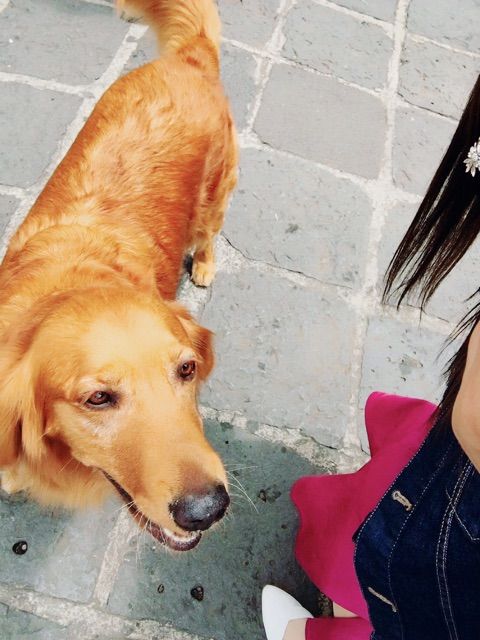 o0480064014023550938