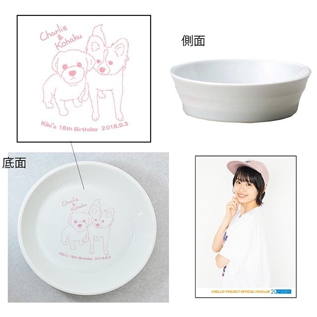 o0640064014258556026