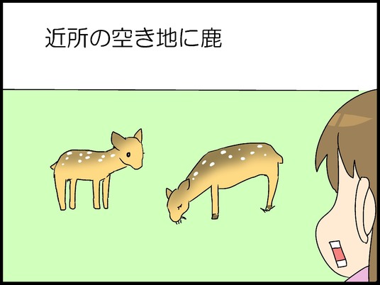 ブログ0004