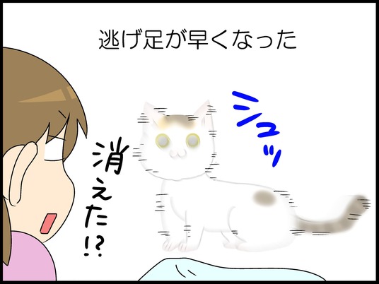 ブログ0013