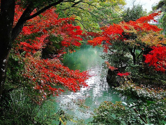 永観堂7