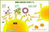 a9d17b08.jpg