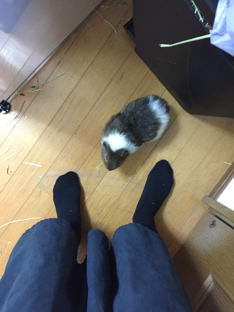 AAFD26E6-76C4-4CC7-B010-50DC4DD20693