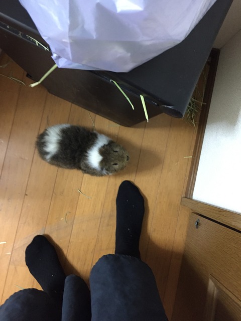 52FFB7BB-BB9D-4293-B906-67A850012A5C