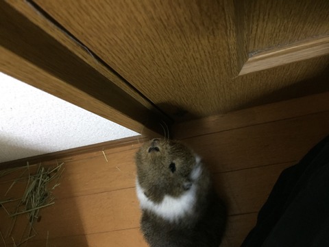 4B034203-586C-42B3-B850-3A40BAA02A01