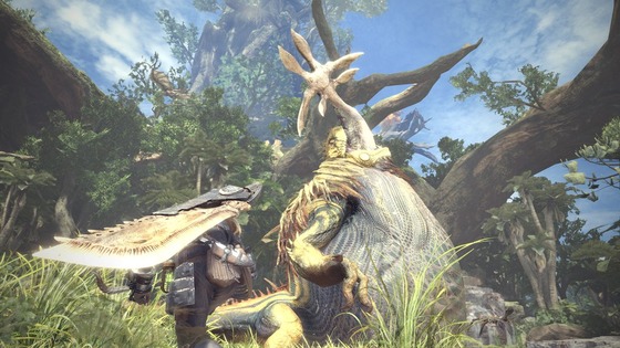 MHW 05