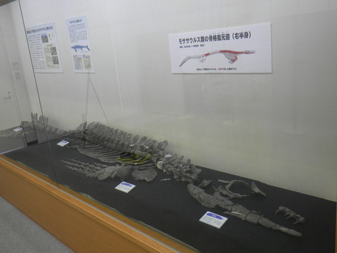 R0011718